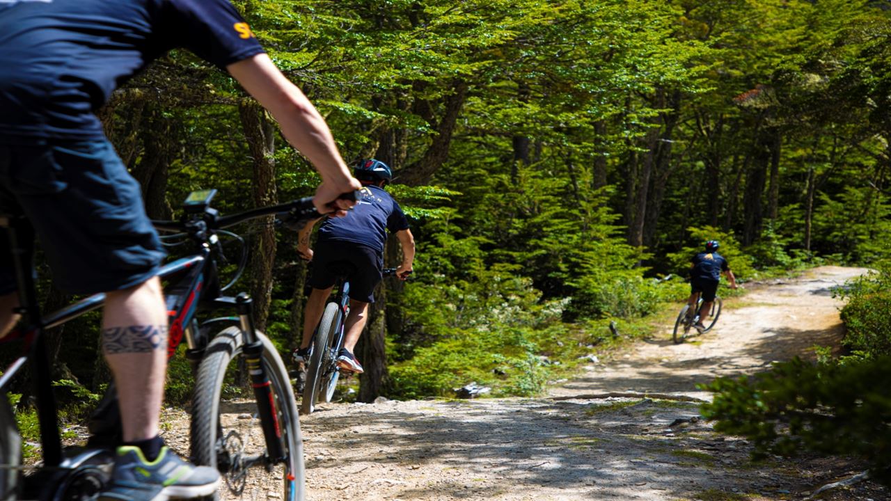 Electric Bike Tour Beagle View Point (4)