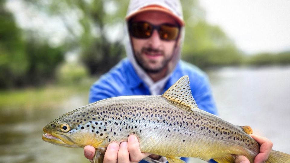 Pesca Com Mosca No Rio Limay foto 5