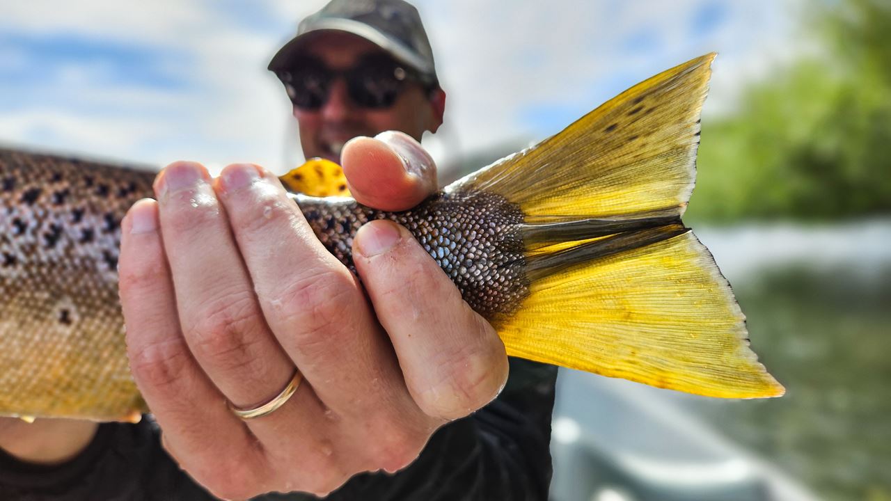 Pesca Com Mosca Nos Lagos Da Patagônia (6)
