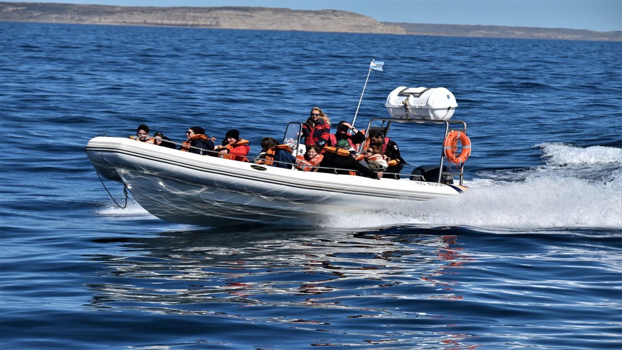 Pinguins E Península Valdés foto 10