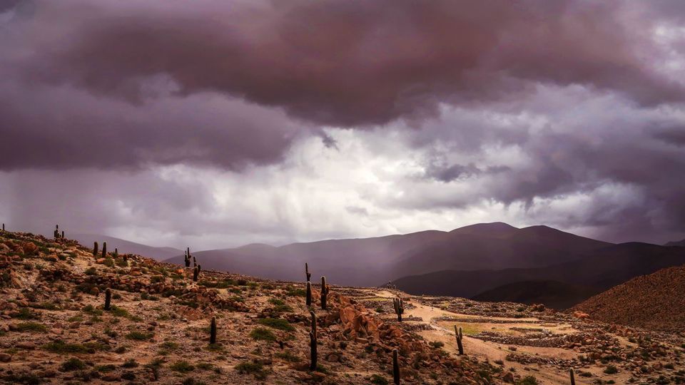 Pinturas Rupestres De Guachipas foto 5