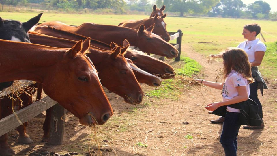 Polo Tour Experience Estancia Villa Maria foto 3
