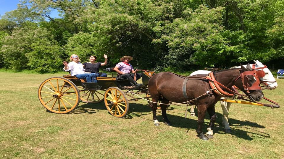 Polo Tour Experience Estancia Villa Maria foto 6