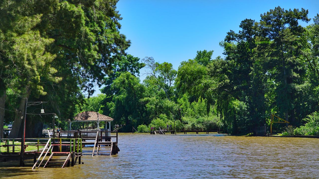 Promo: Tigre Delta + Tango Show (4)