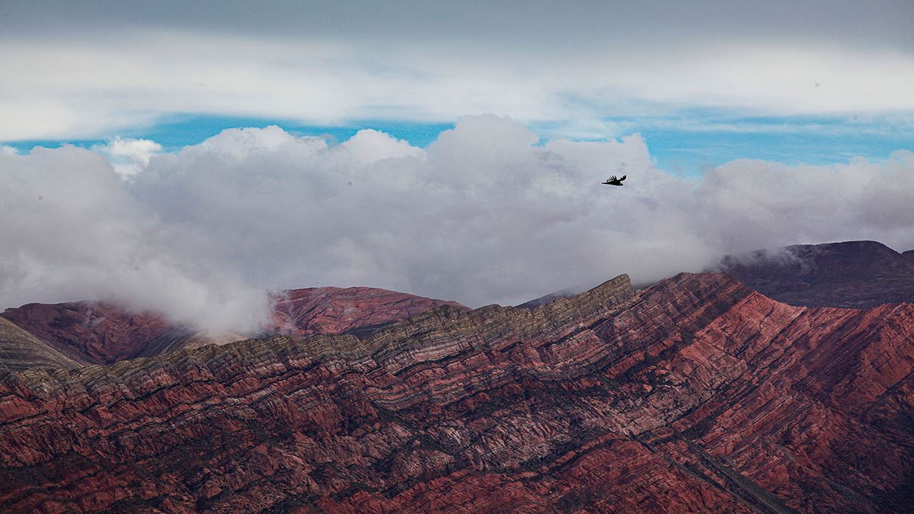 Quebrada De Humahuaca: Passeio Com Mirante El Hornocal foto 8
