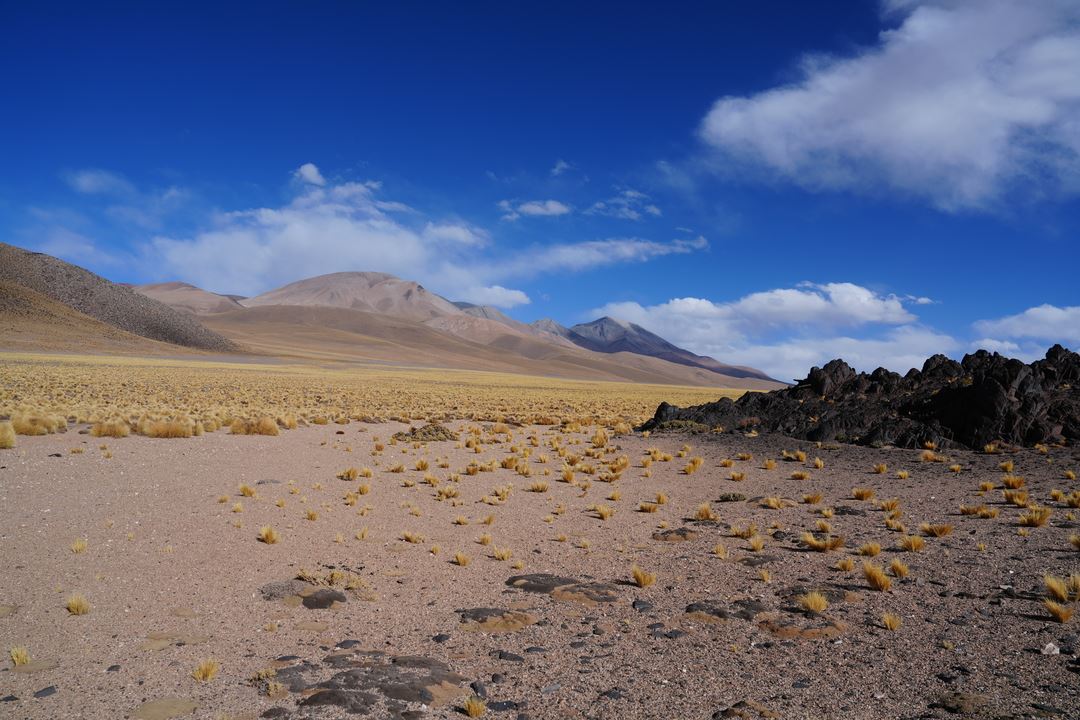 Tour 4x4 Ao Real Grande Canyon E Ao Vulcão Galan foto 12