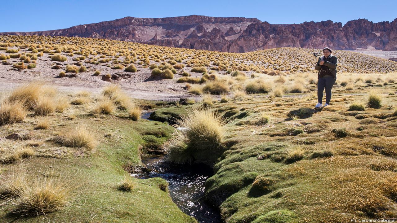 Tour 4x4 Ao Real Grande Canyon E Ao Vulcão Galan foto 4