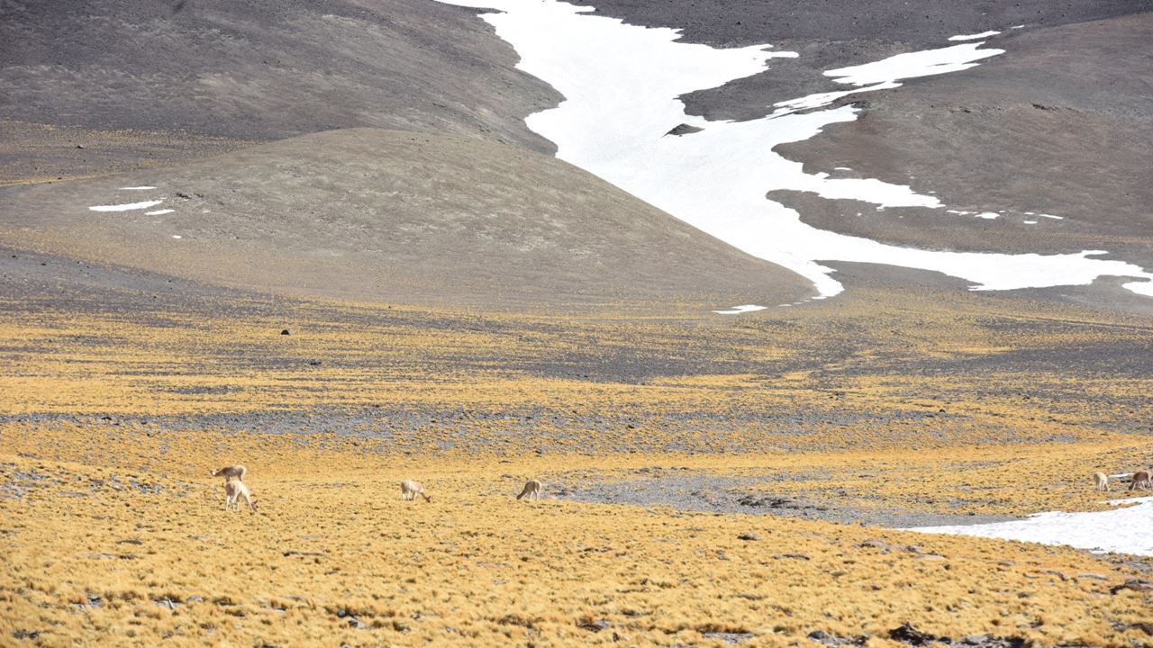 Route Of The Six-thousanders And Balcony Of Pissis Private foto 5