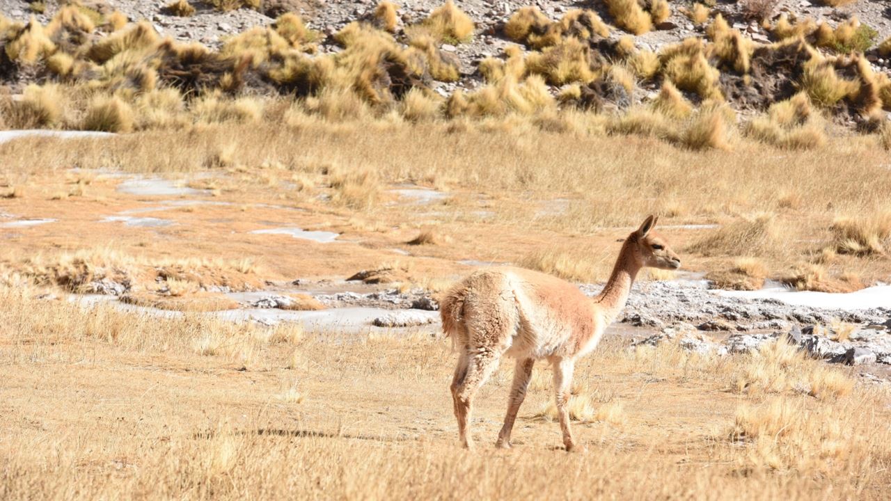 Route Of The Six-thousanders And Balcony Of Pissis Private foto 3