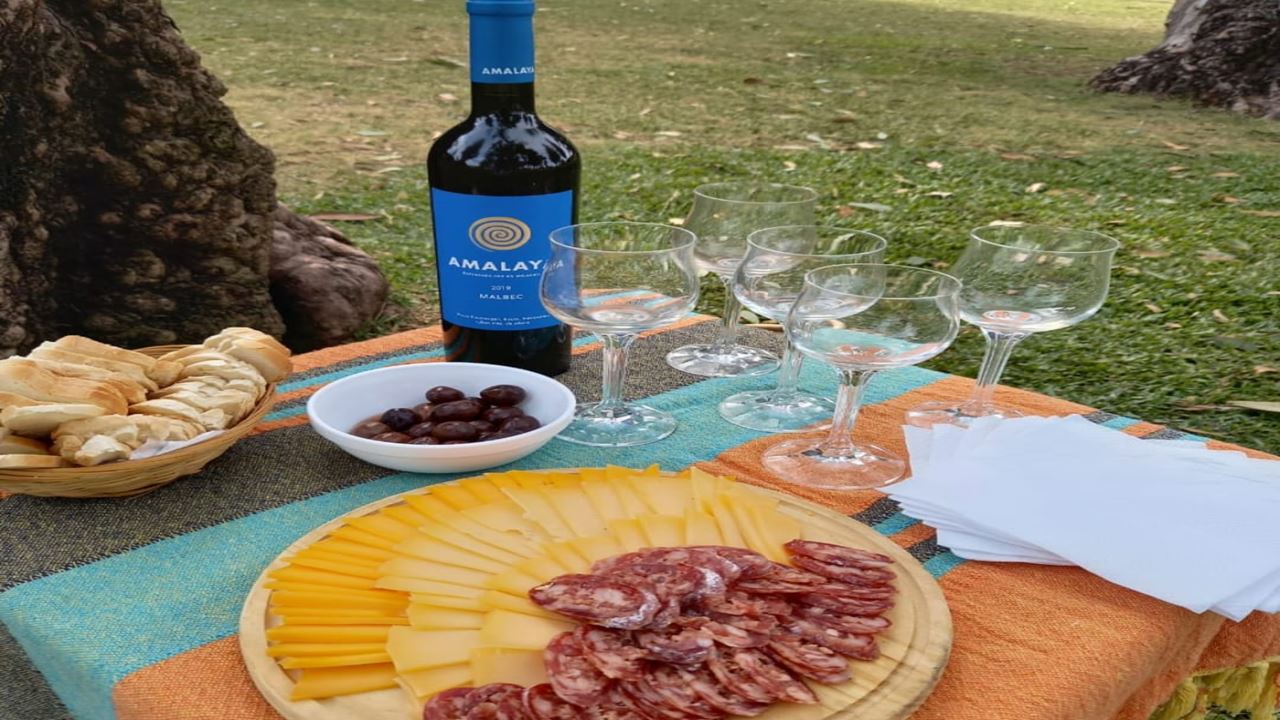 Wine Bicycle Route (6)