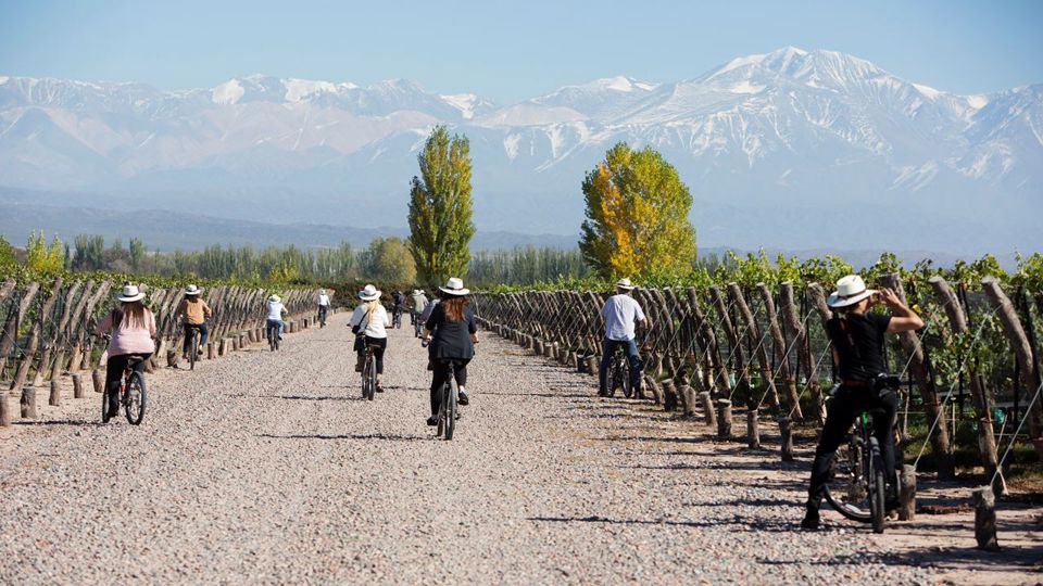Ruta En Bici Por Bodegas foto 2