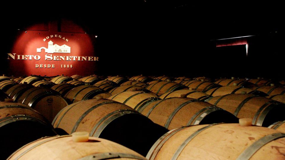 Ruta En Bici Por Bodegas foto 4