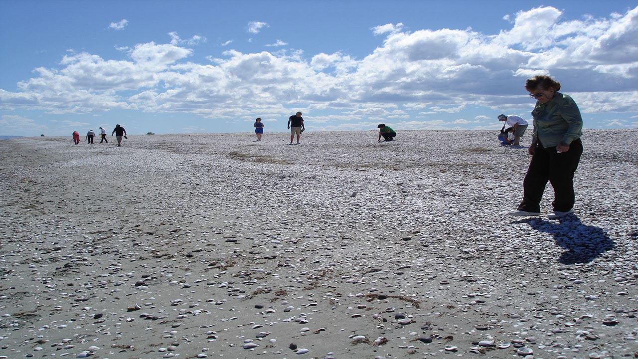 Safari 4x4 E Sandboard Caminho De Los Pulperos foto 7