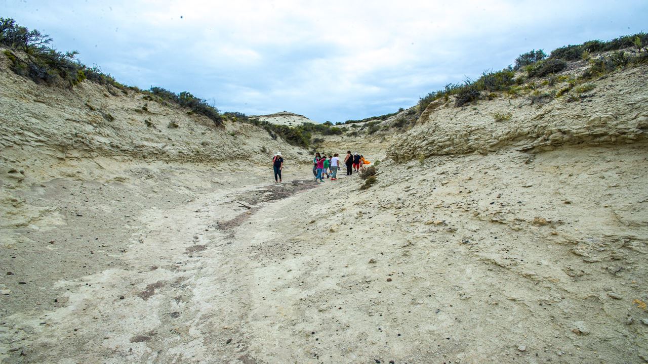 Safari 4x4 E Sandboard Caminho De Los Pulperos foto 5