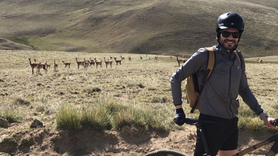 Safari Bike Experience - Vida Selvagem E Estepe foto 10