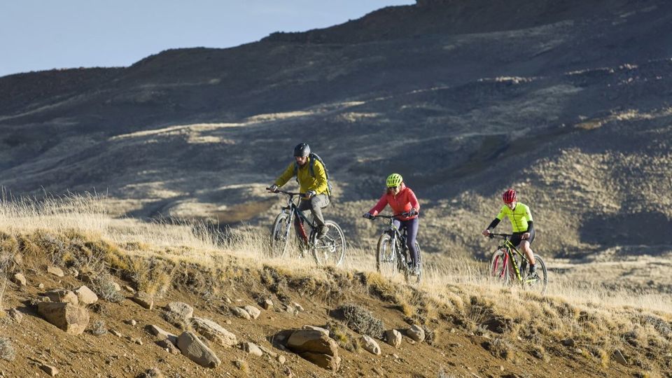 Safari Bike Experience - Vida Selvagem E Estepe foto 8