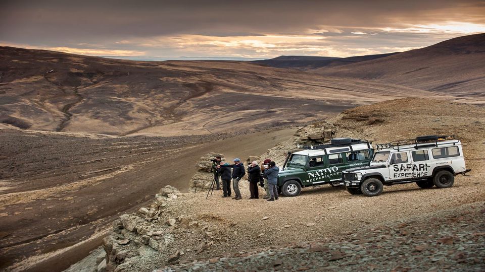 Experiência Safari - Fauna E Estepe foto 6