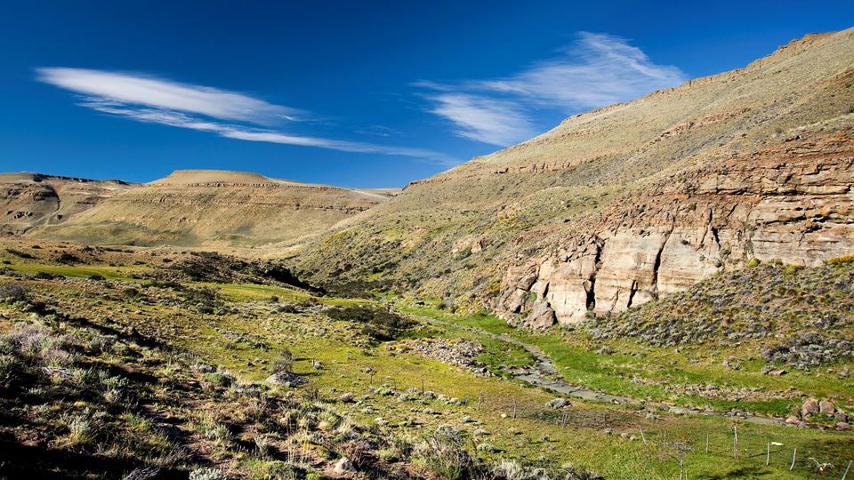 Experiência Safari - Fauna E Estepe foto 2