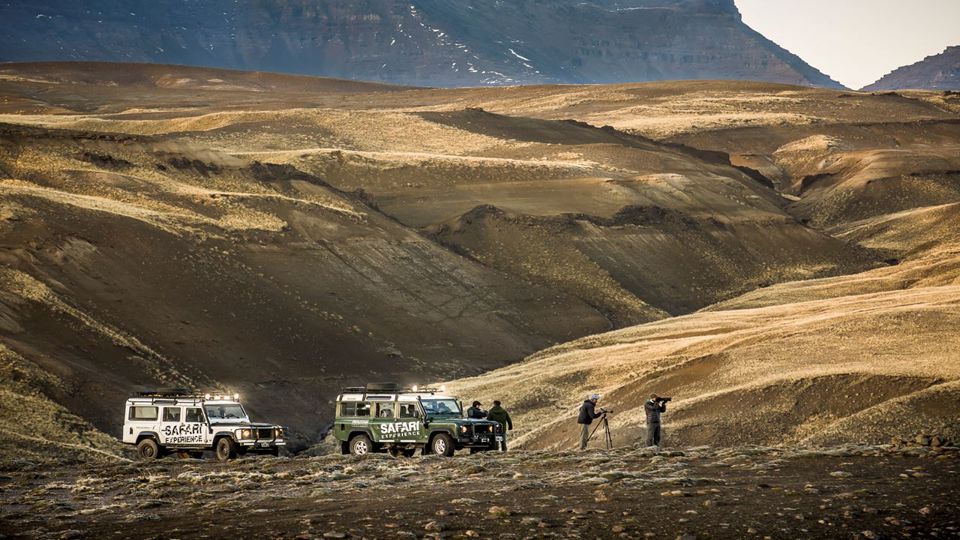 Experiência Safari - Fauna E Estepe foto 3