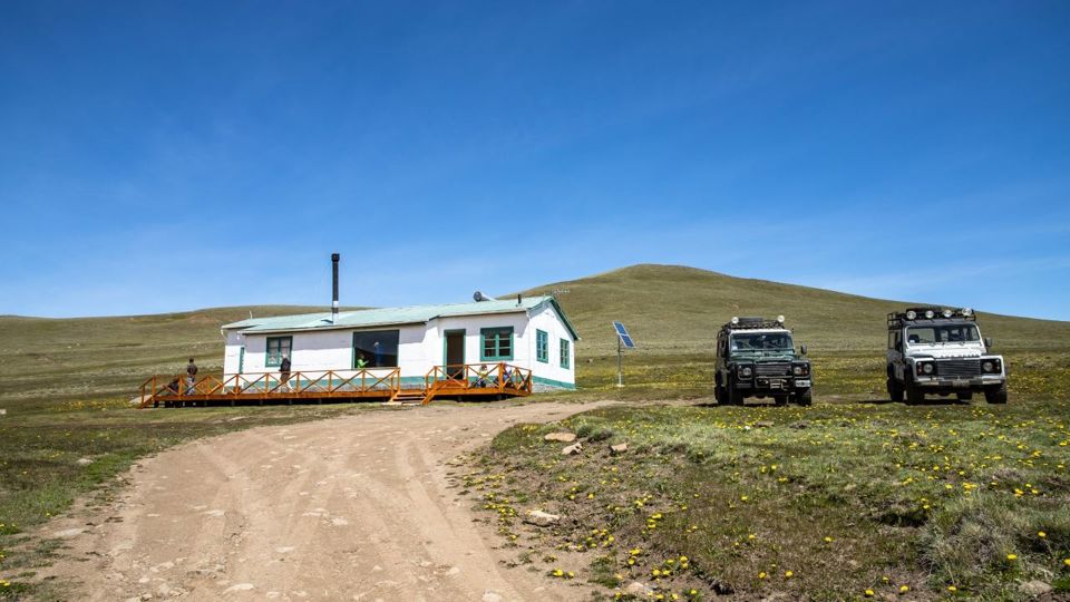 Experiência Safari - Fauna E Estepe foto 11