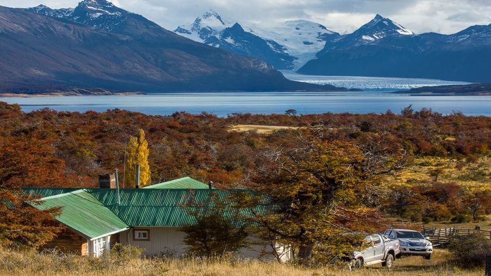 Experiência Safari - Fauna E Estepe foto 5