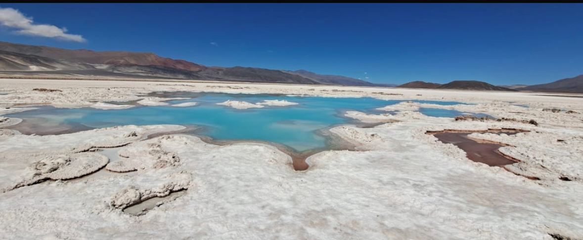 Antofalla Salt Flat foto 10