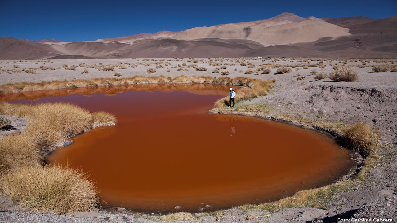 Salar Antofalla Em 4x4 foto 2