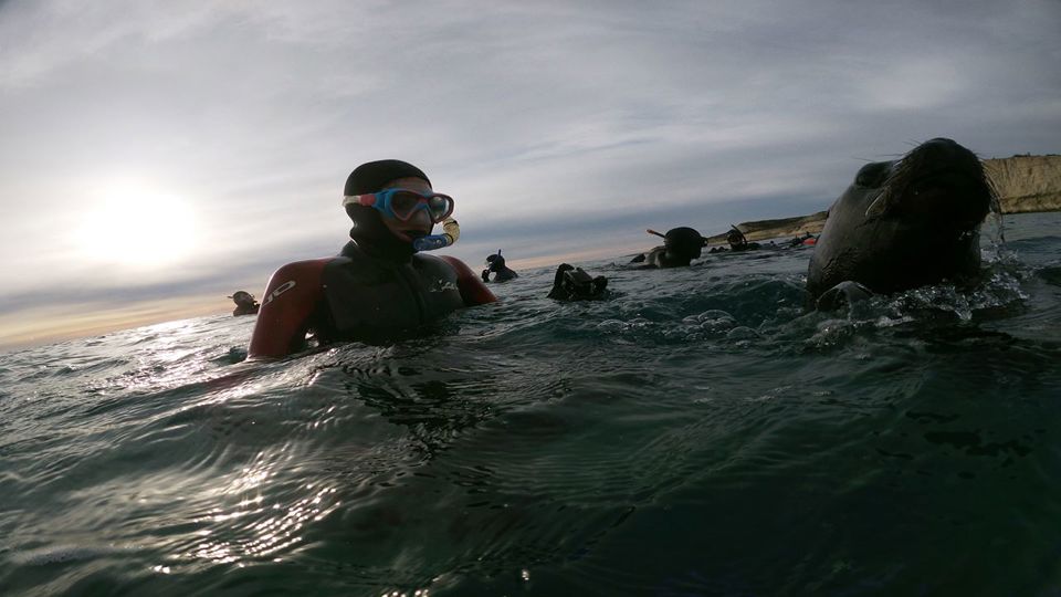Snorkeling Com Lobos Focas foto 9