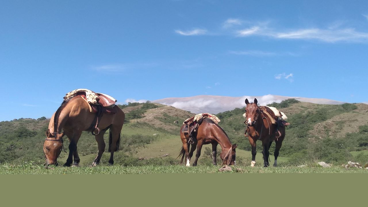 Horseback Experience In Tucumán foto 3