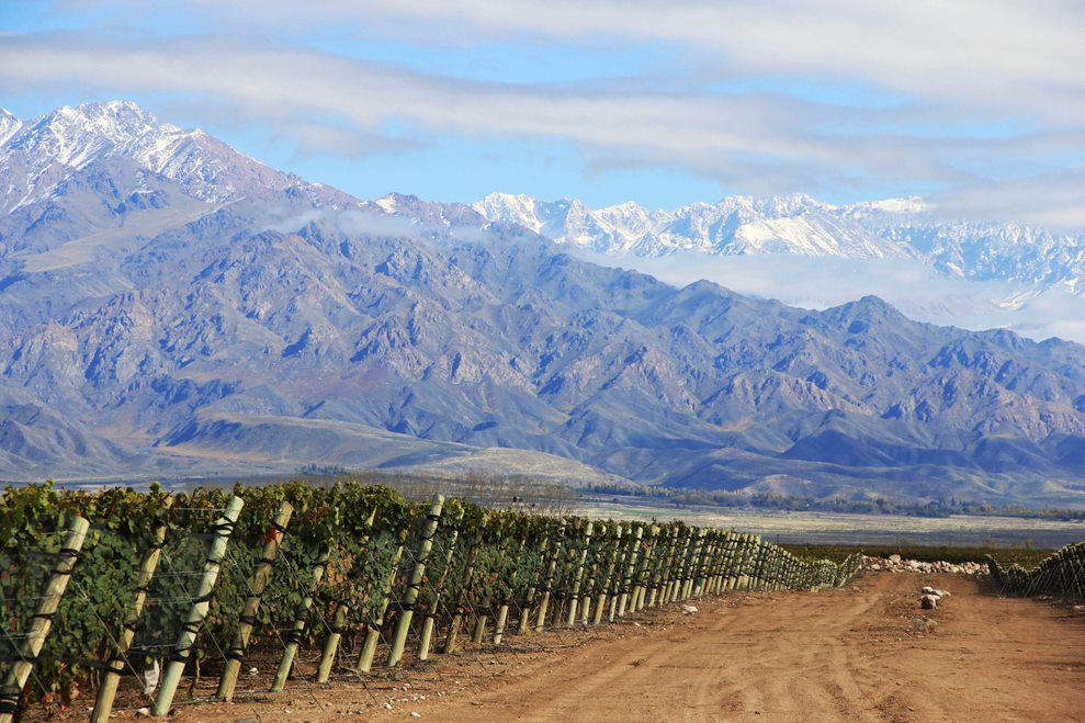 Visite Dégustation De Vins Au Domaine Viticole Zuccardi foto 6