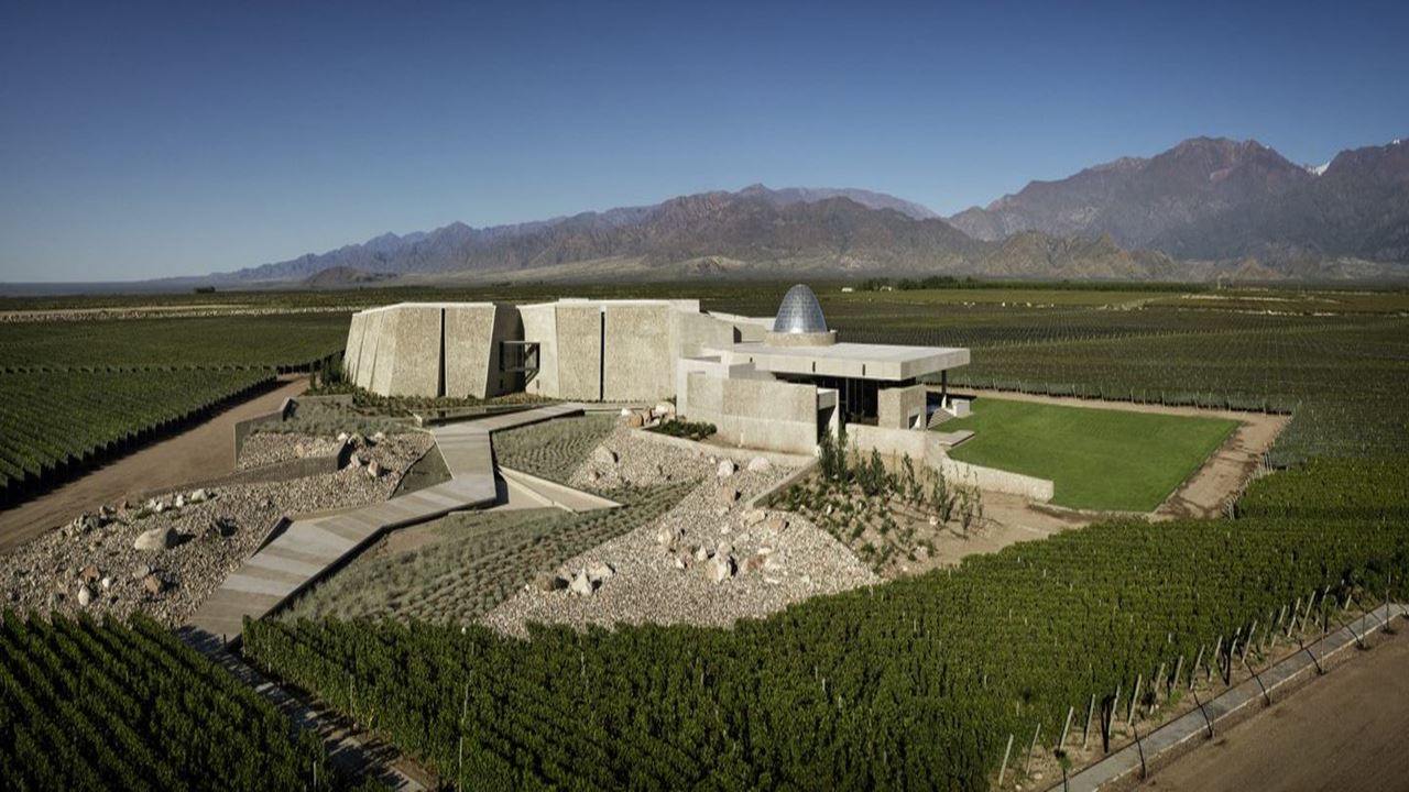 Visite Dégustation De Vins Au Domaine Viticole Zuccardi foto 5