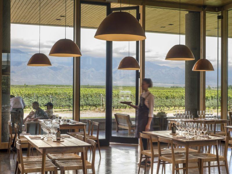 Visite Dégustation De Vins Au Domaine Viticole Zuccardi foto 9
