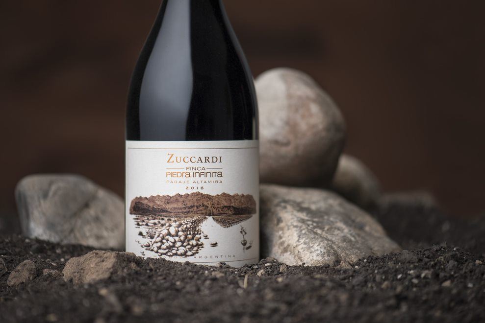 Visite Dégustation De Vins Au Domaine Viticole Zuccardi foto 3