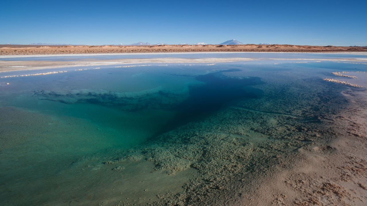 Exclusive Experience In The Argentine Puna foto 4
