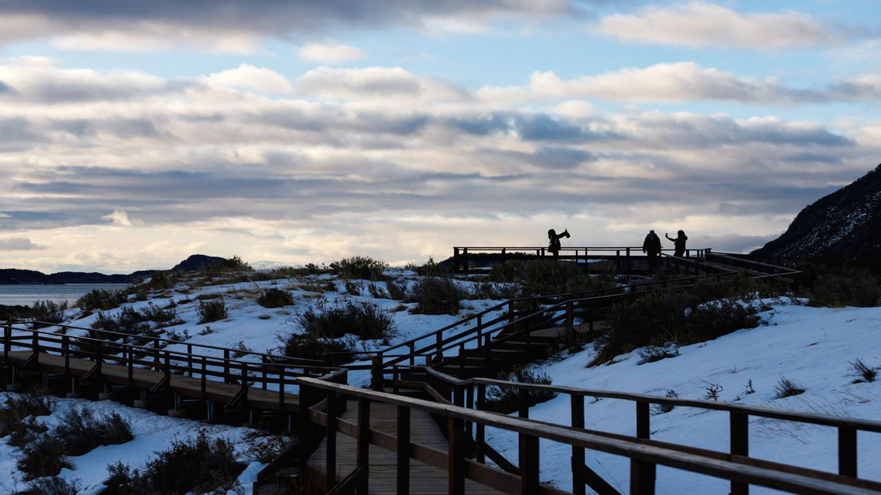 Promo: Transfers To The Airport, National Park And Fueguino Lakes foto 1