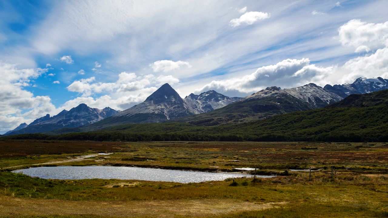 Promo: Transfers To The Airport, National Park And Fueguino Lakes foto 11