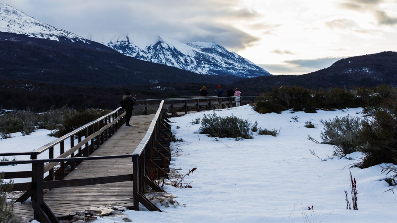 Promo: Transfers To The Airport, National Park And Fueguino Lakes foto 4