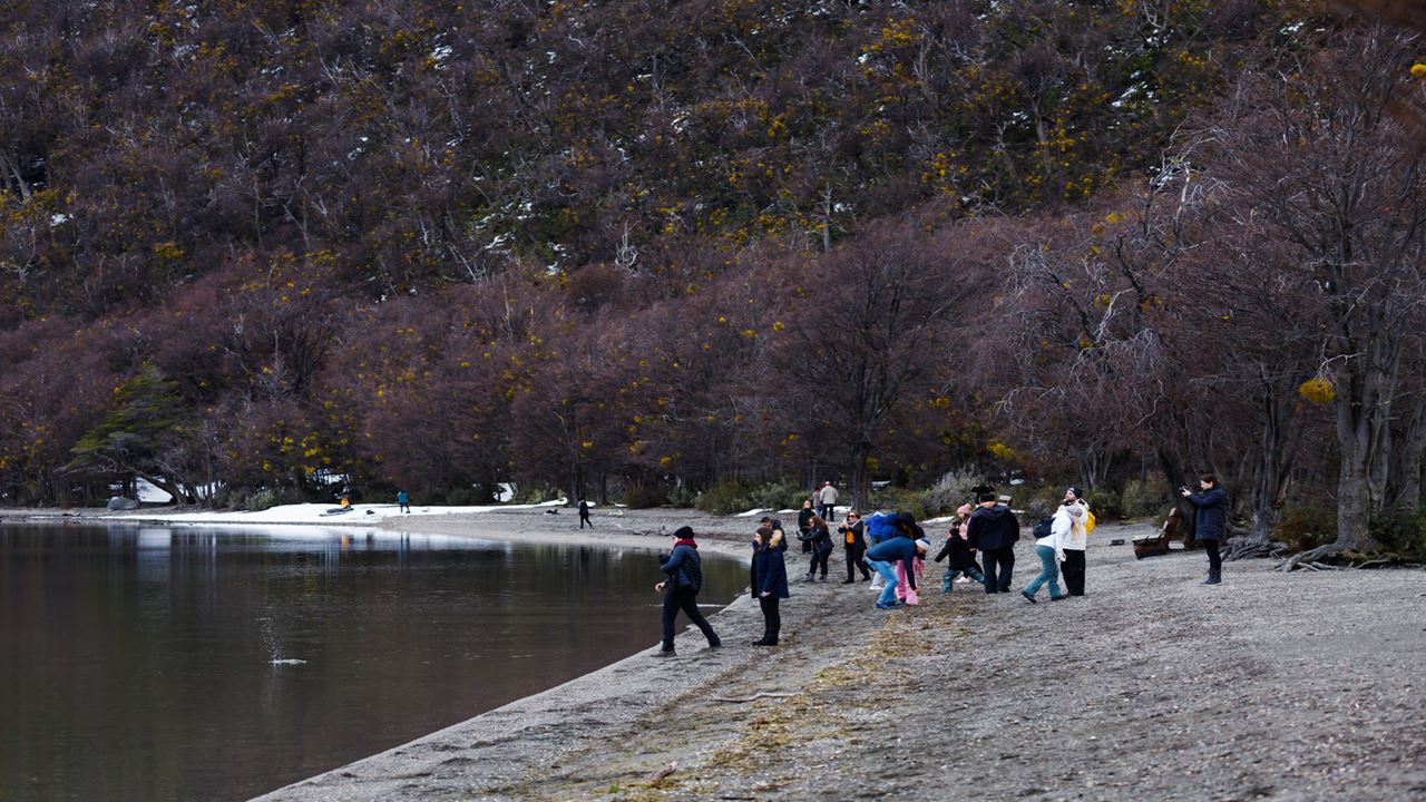 Promo: Transfers To The Airport, National Park And Fueguino Lakes foto 10