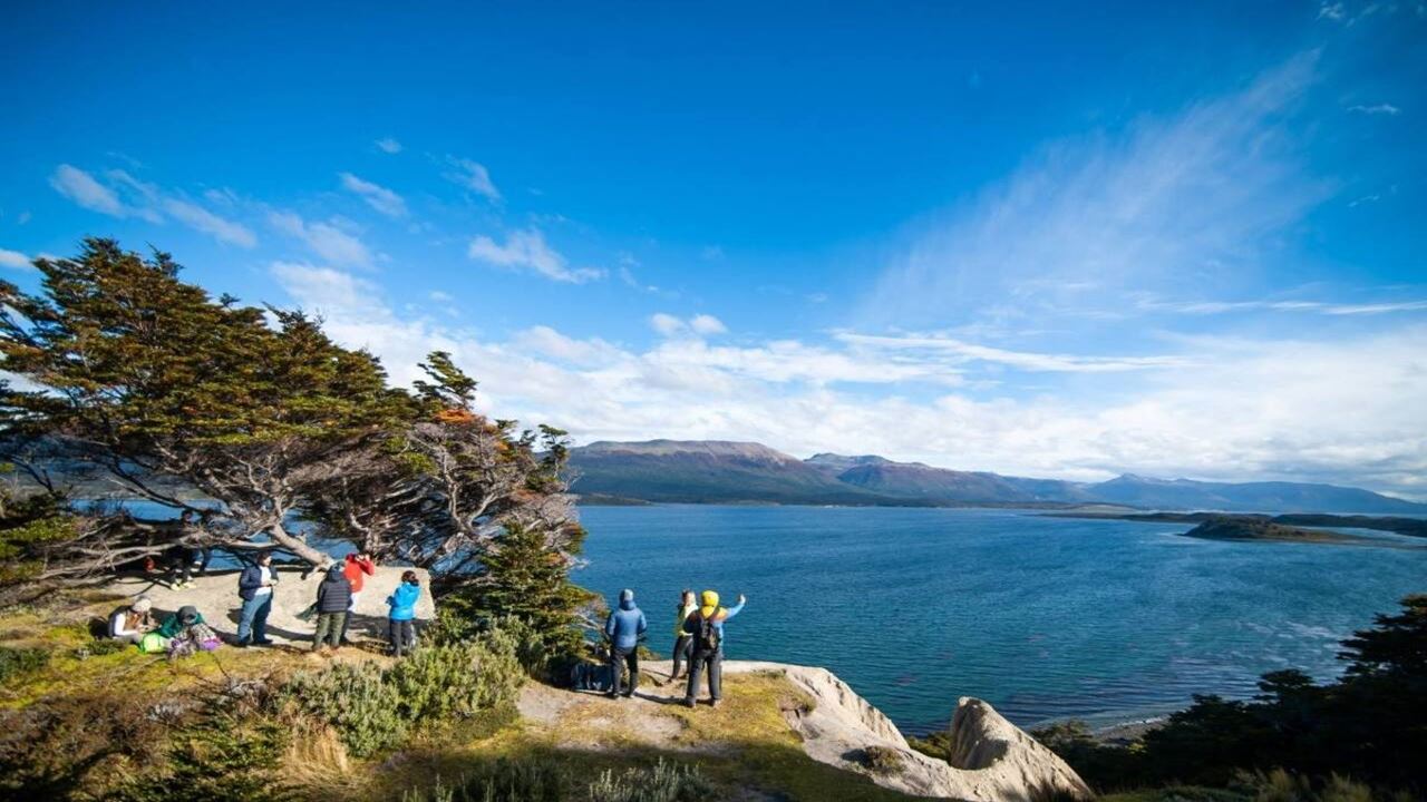 Offer: Airport Transfers, National Park And Sailing To Island Of Wolves And Birds foto 13