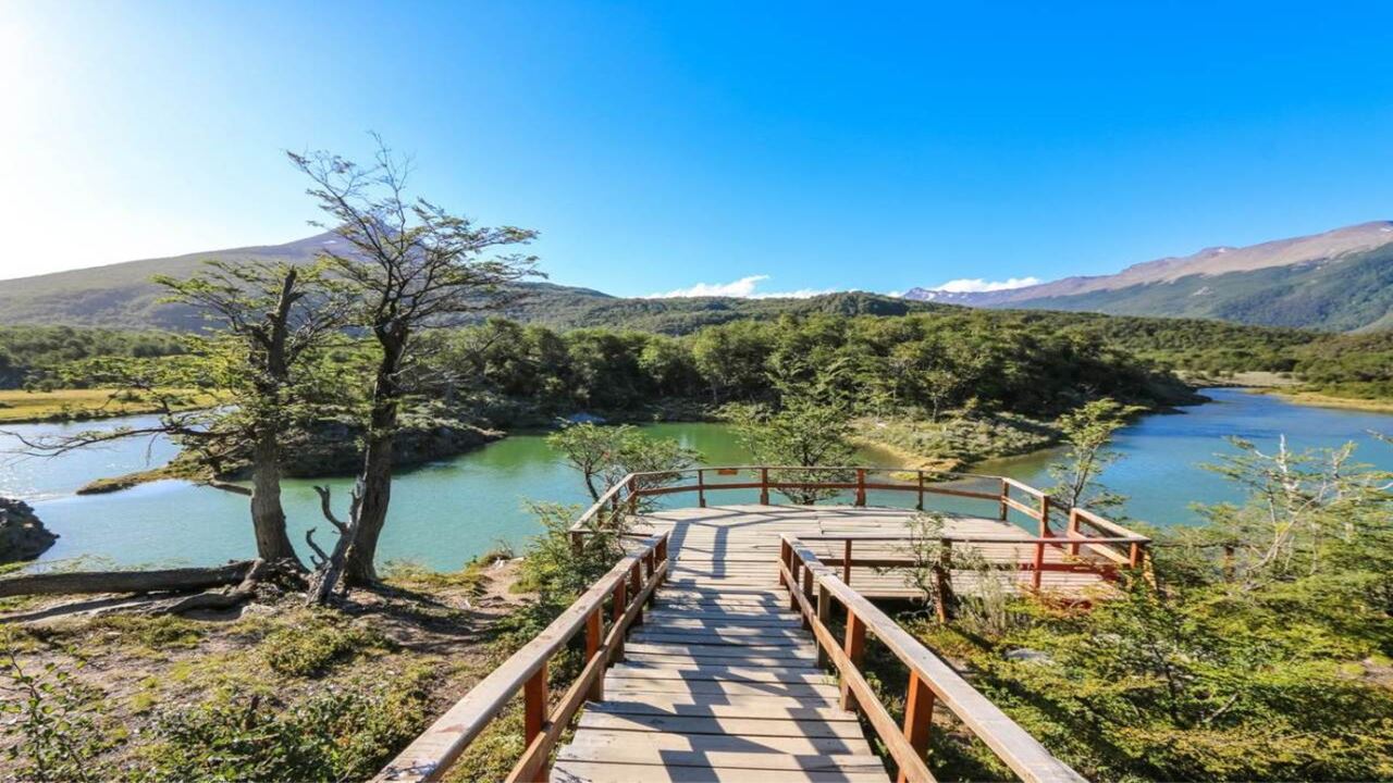 Offer: Airport Transfers, National Park And Sailing To Island Of Wolves And Birds foto 11