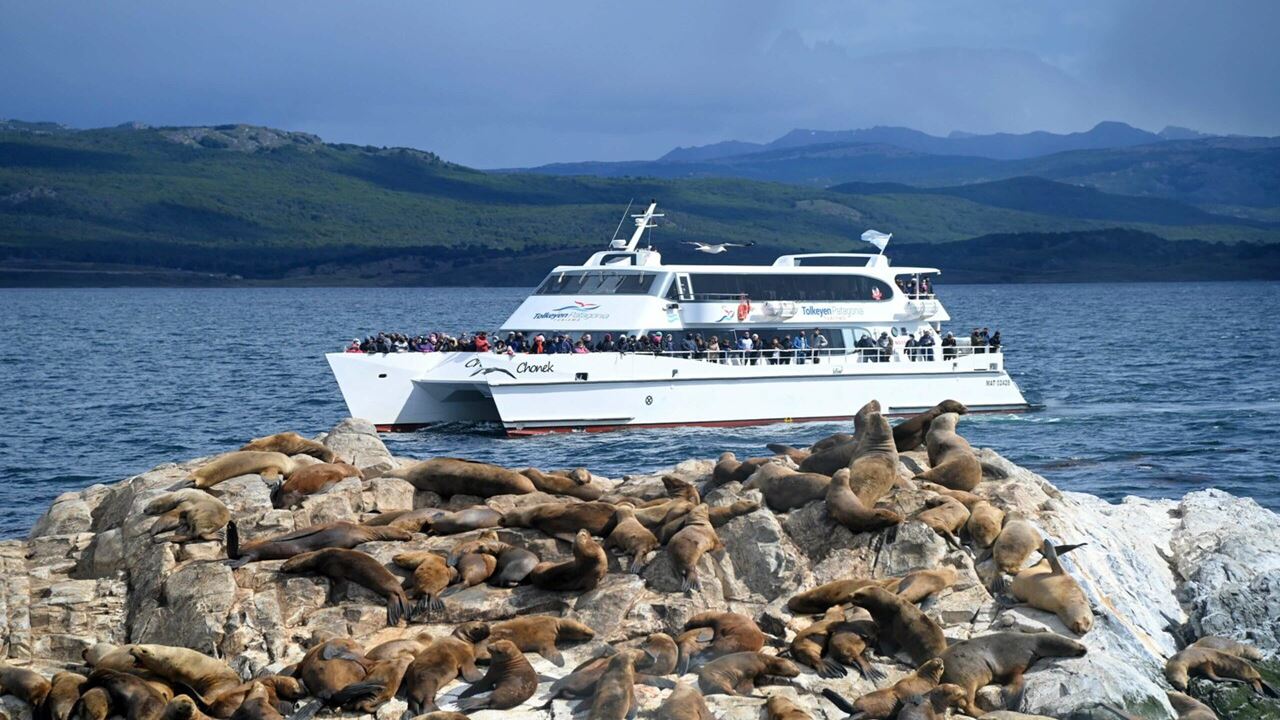 Offer: Airport Transfers, National Park And Sailing To Island Of Wolves And Birds foto 1