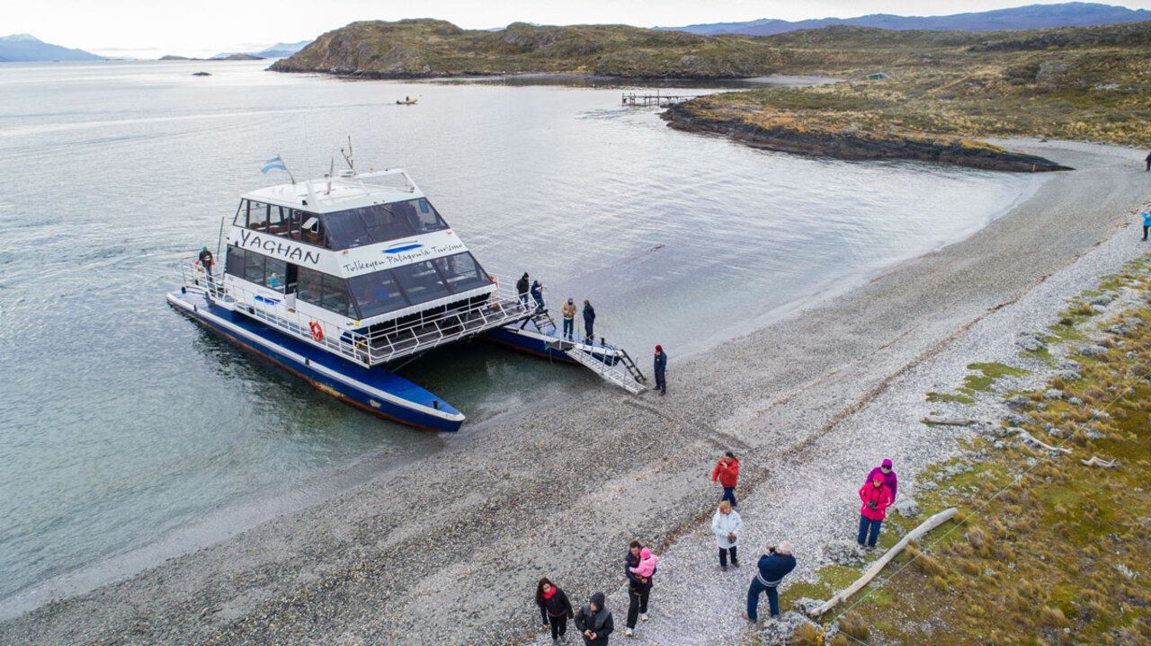 Offer: Airport Transfers, National Park And Sailing To Island Of Wolves And Birds foto 8