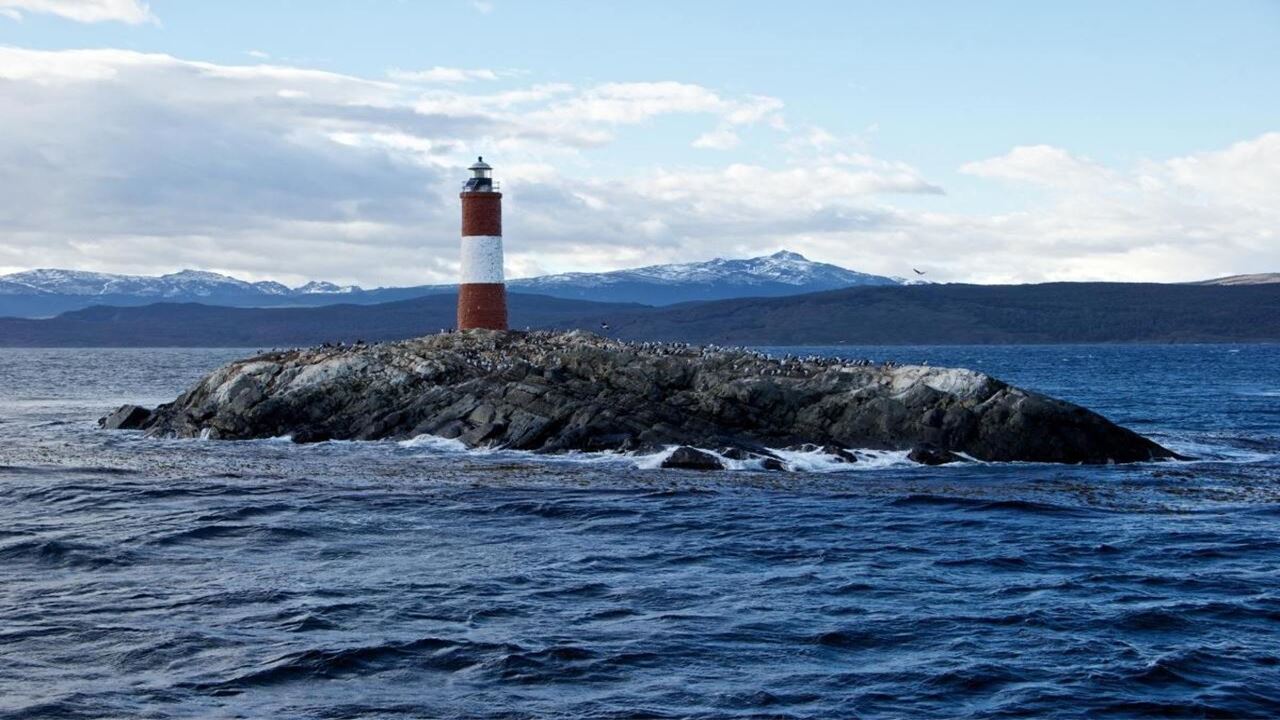 Offer: Airport Transfers, National Park And Sailing To Island Of Wolves And Birds foto 15