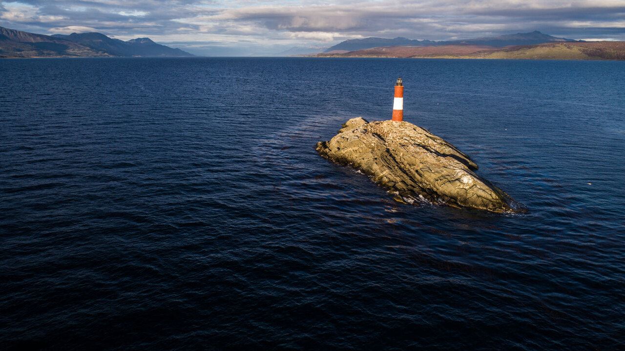 Offer: Airport Transfers, National Park And Sailing To Island Of Wolves And Birds foto 9