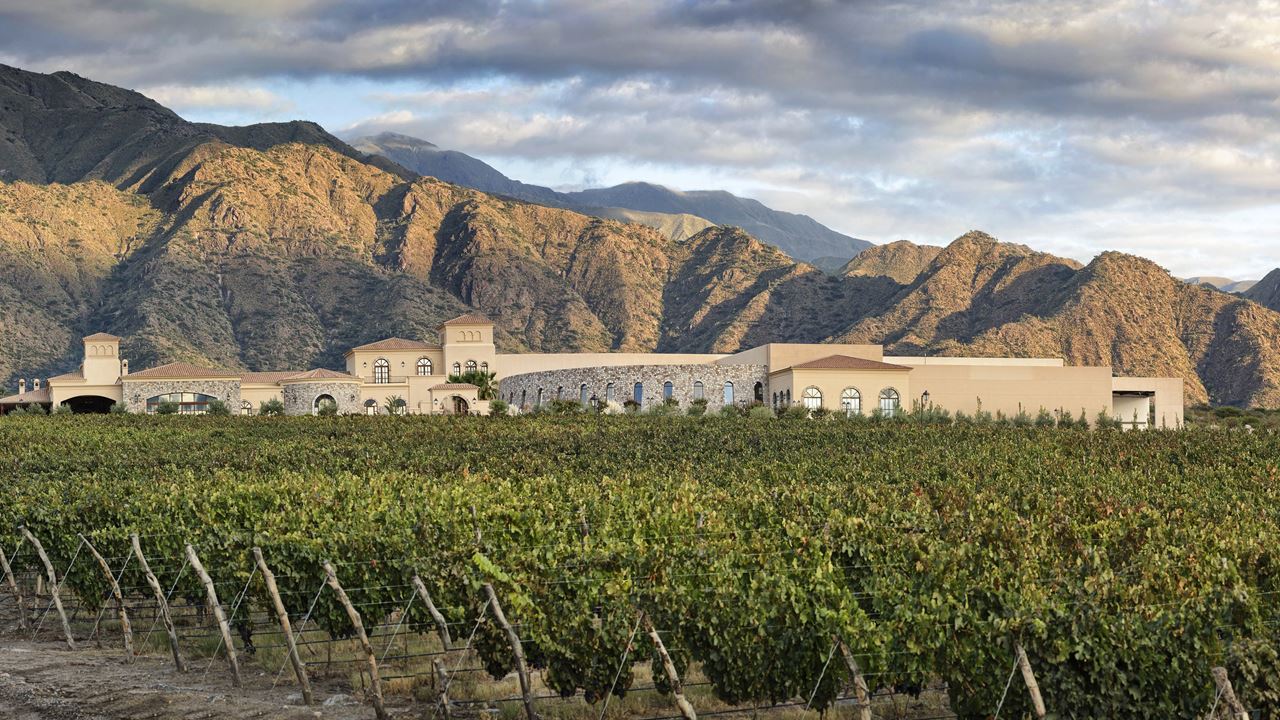 Visit And Wine Tasting At Piattelli Winery foto 2