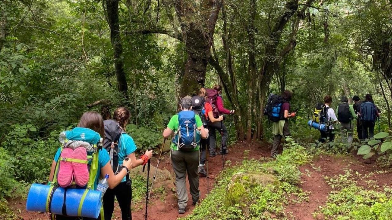 Crossing From The Puna To The Yungas foto 1