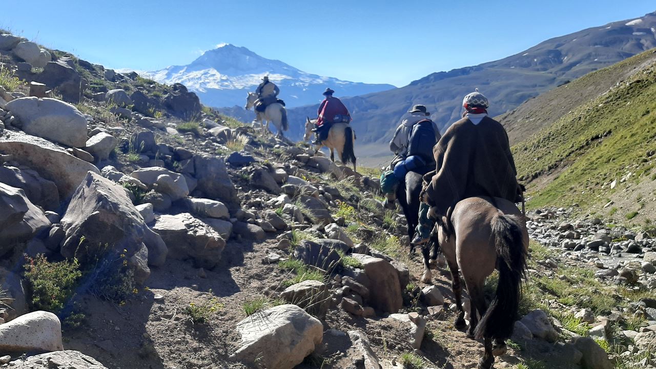 Cheval Traversant Les Andes foto 1