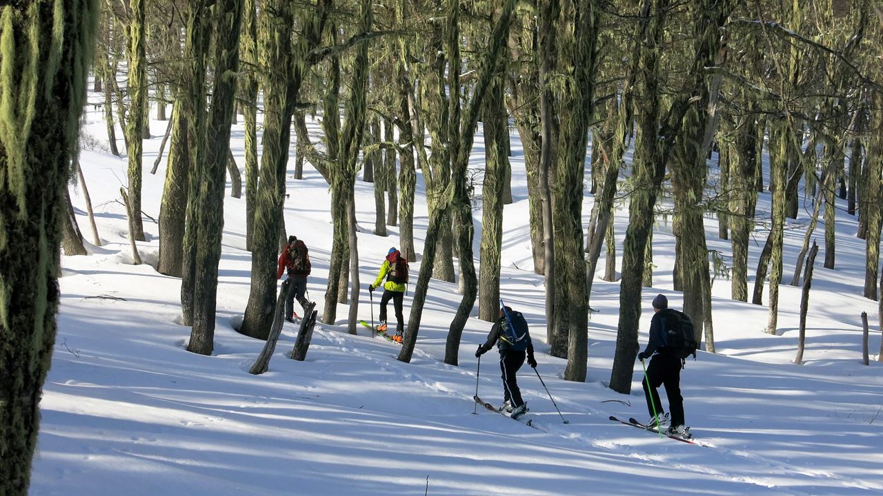 Ski Touring In Valle Escondido foto 2