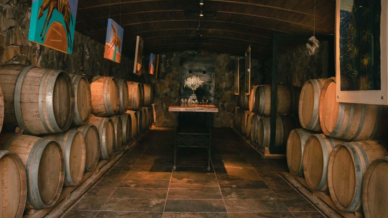 Visite Et Dégustation De Vins Au Domaine Viticole Casa Vigil foto 6