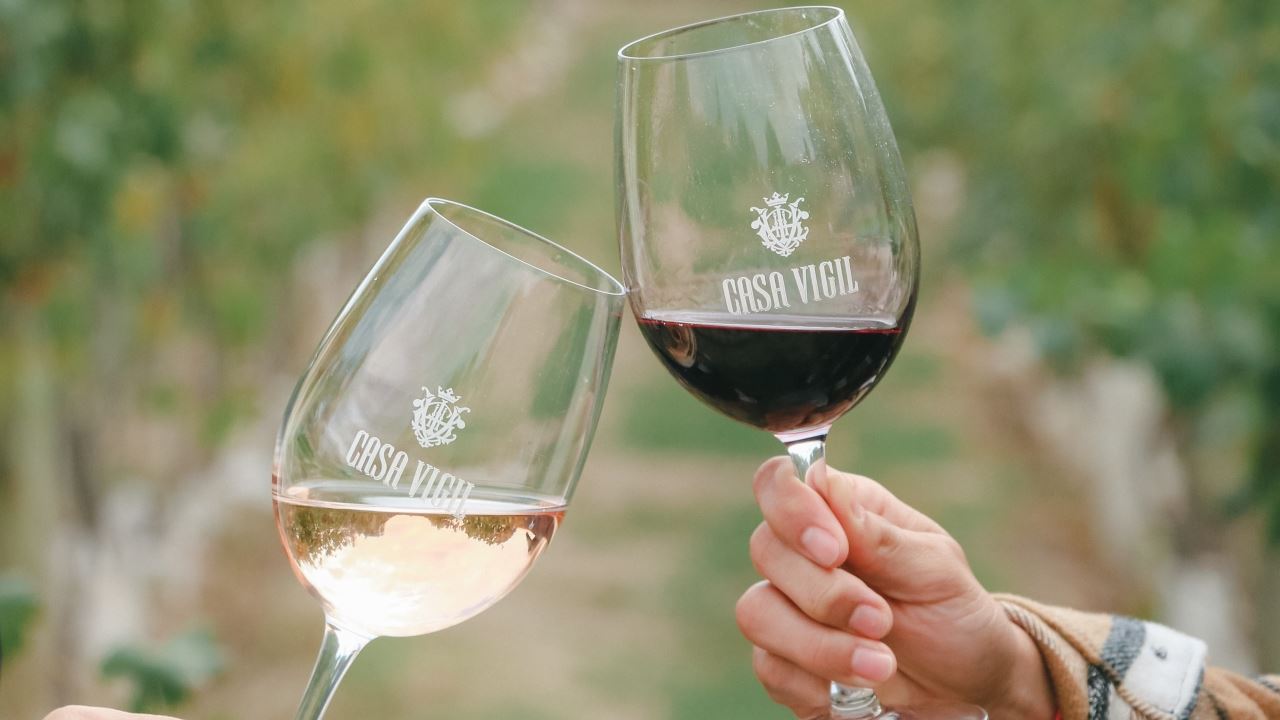 Visite Et Dégustation De Vins Au Domaine Viticole Casa Vigil foto 2